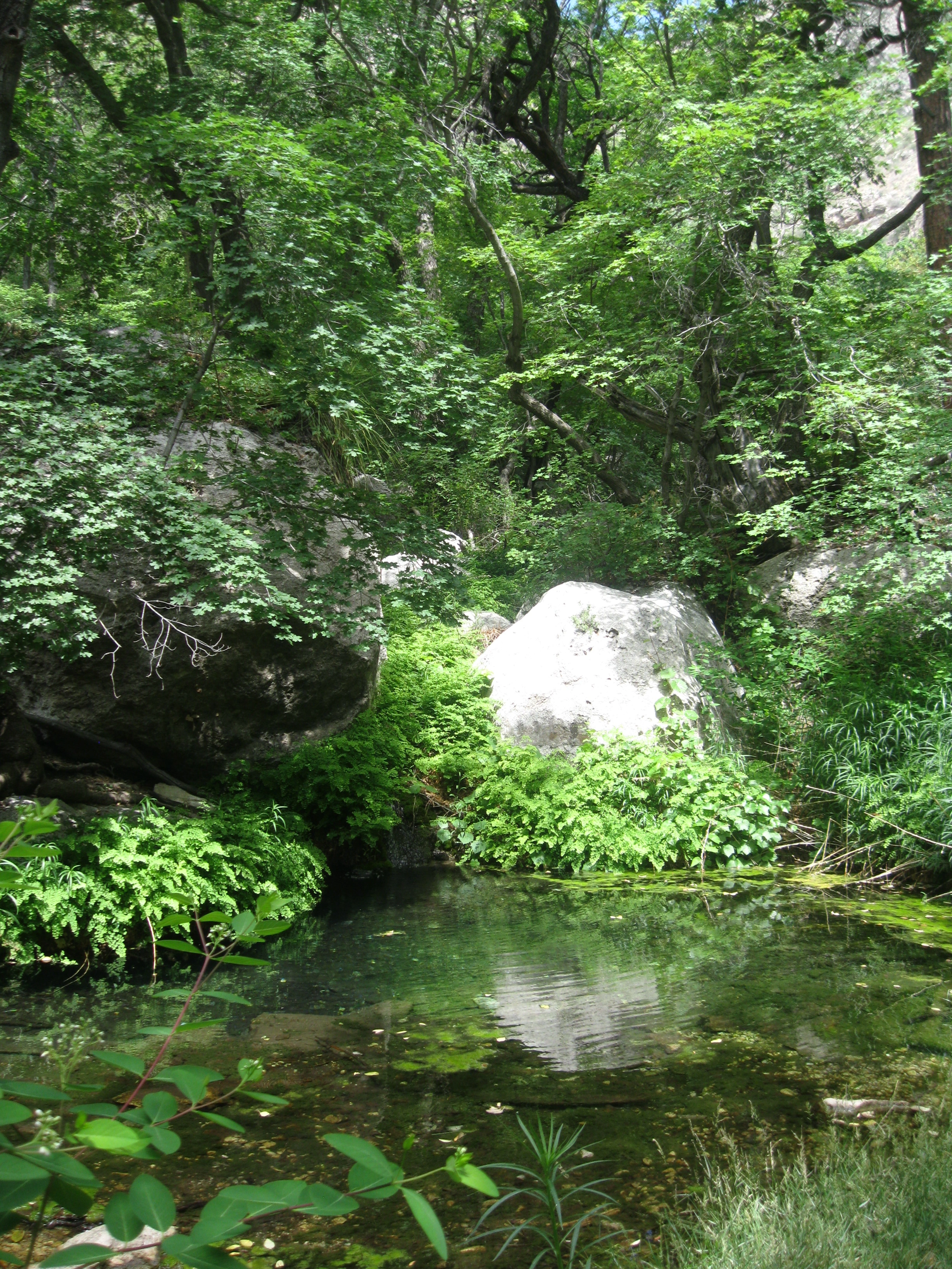 Small Image 003