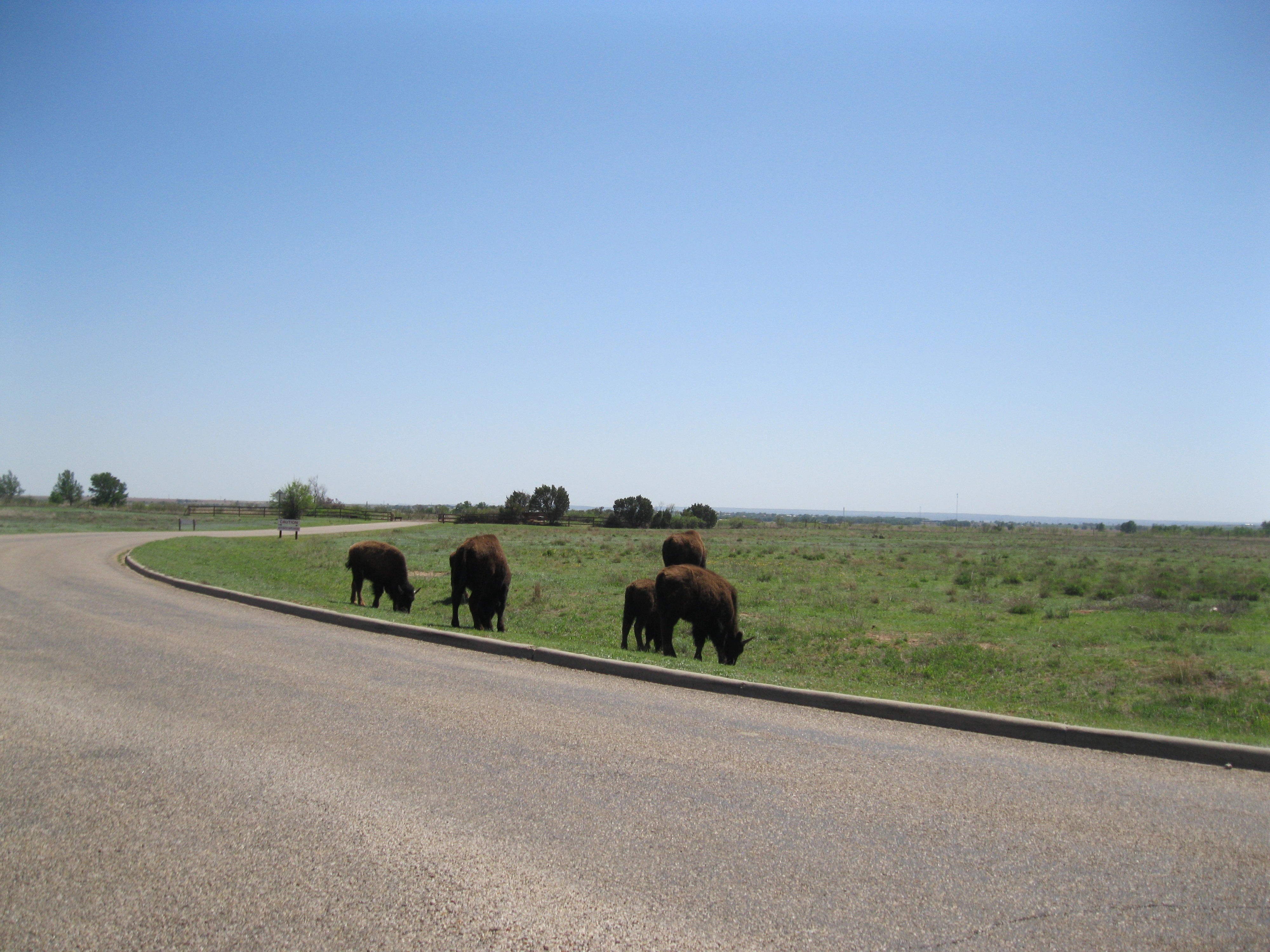 Small Image 018