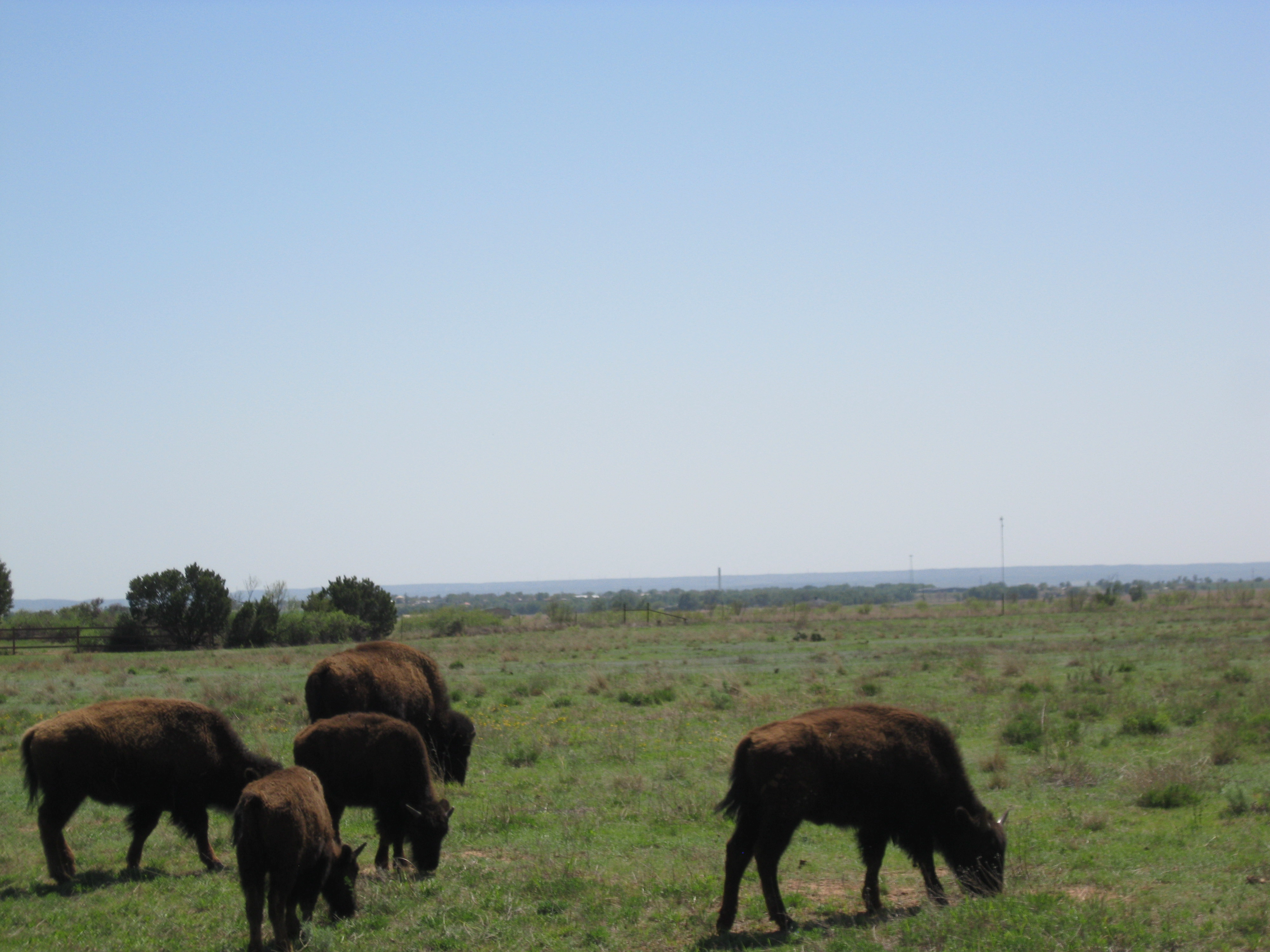 Small Image 019