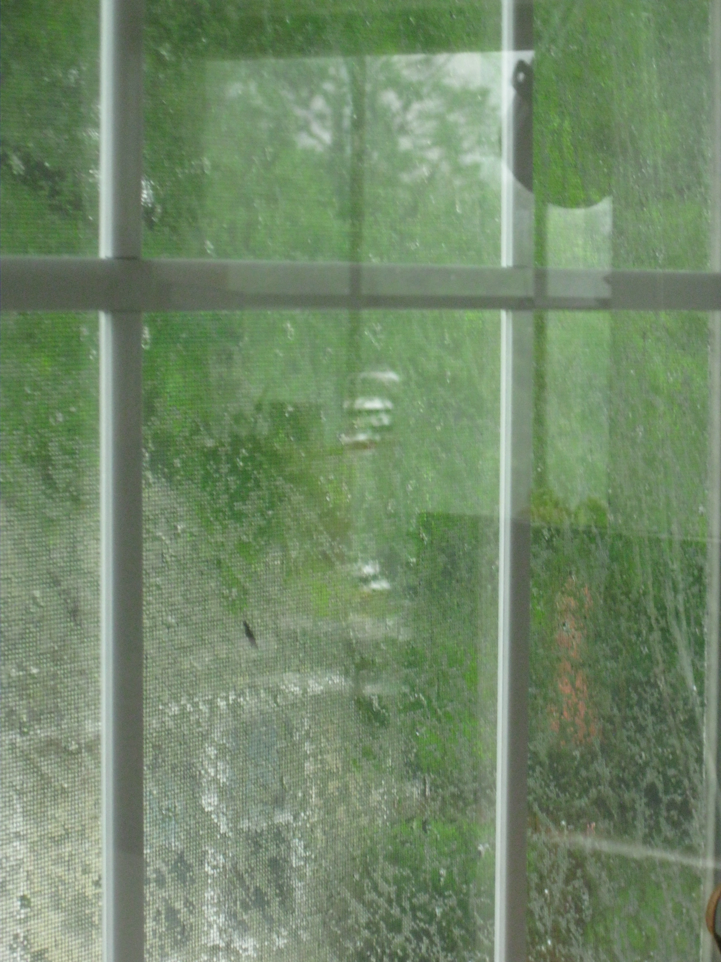 Small Image 020