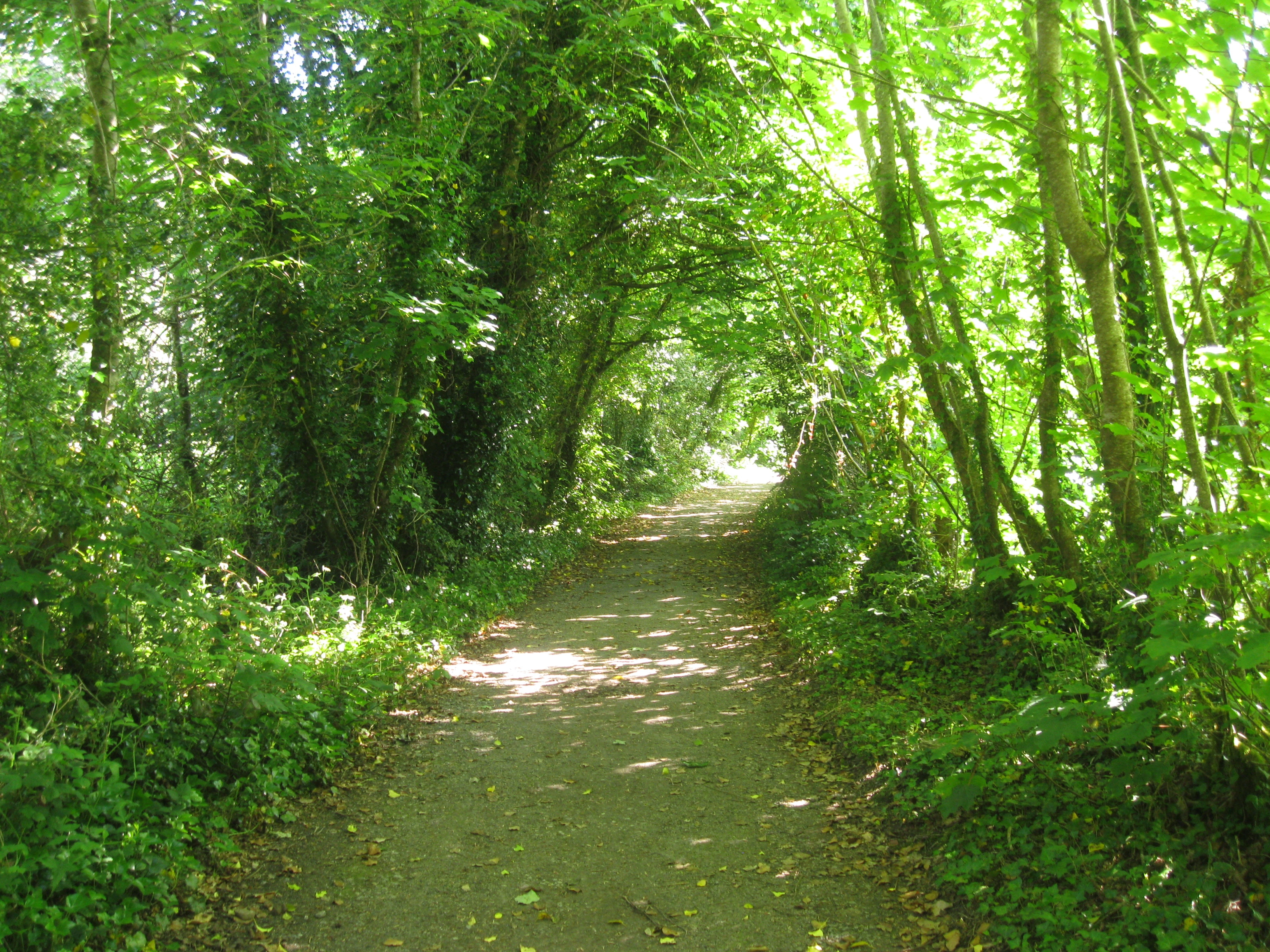 Small Image 029