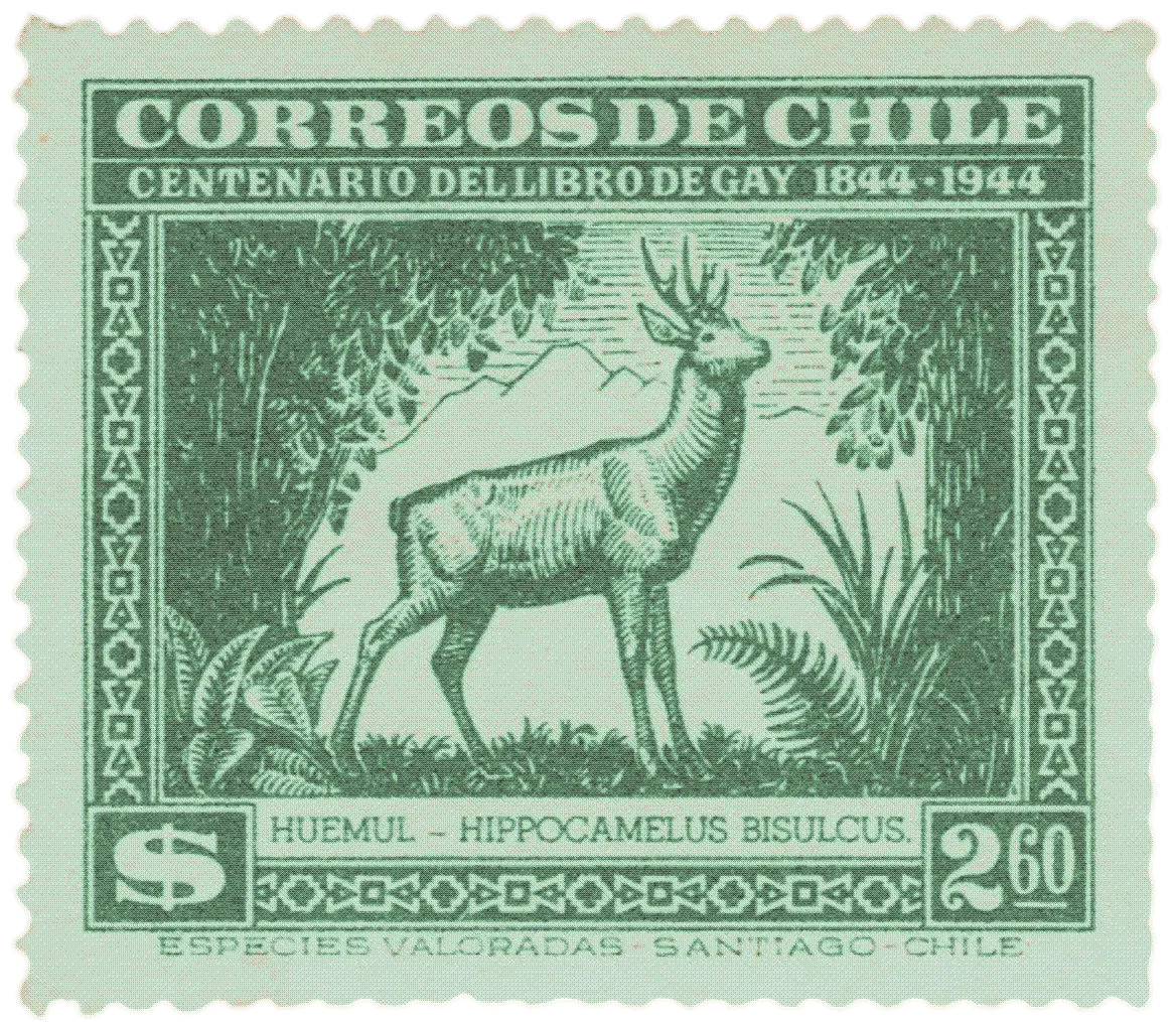 Deer Stamp